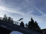 Ski-Springer
