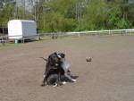 Spass am Spiel 
