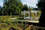 Im Rosengarten von Temeschwar
