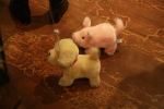 Hund und Schwein unterwegs in Harrods