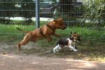 Jump!