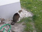 Nochmal im Garten