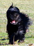 Windlauf