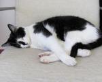 Agenturkater brauchen auch mal eine Pause