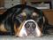 Jessy pennt ein gesterntes Foto von Jessy