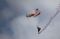 Red Bull Skydiving ein gesterntes Foto von 