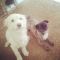 friends ein gesterntes Foto von Katy77