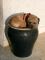 Komisches Hundekörbchen. ein gesterntes Foto von Wiki