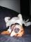Schlafmütze ein gesterntes Foto von Beagler