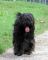 Shadow :) ein gesterntes Foto von 