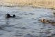 Foto von , Kategorie Wasser baden
