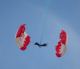 Foto von , Kategorie Kunstflug Red Bull Skydive Team bei der Airpower 2013