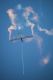 Segelflieger mit Pyrotechnik bei der Airshow Coburg