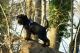 Foto von , Kategorie Abenteuer Sunny