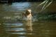 Foto von , Kategorie Wasser 