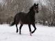 Foto von , Kategorie Schnee 