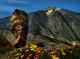 Foto von , Kategorie Berg Pico del Teide