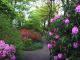 Sch&ouml;ner Spaziergang durch die Rhododendren