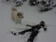 Foto von , Kategorie lustig Schau Balou, so macht mann ein Schneeengerl!!
