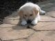 Foto von , Kategorie Baby Gigi